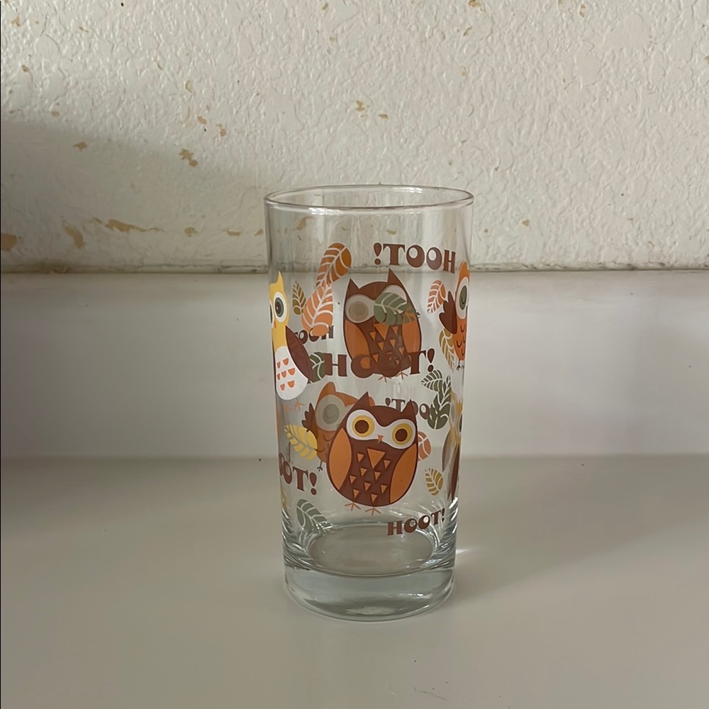 Vintage 1970’s Libbey By CRISA Glass Woodland Theme OWLS FALL
